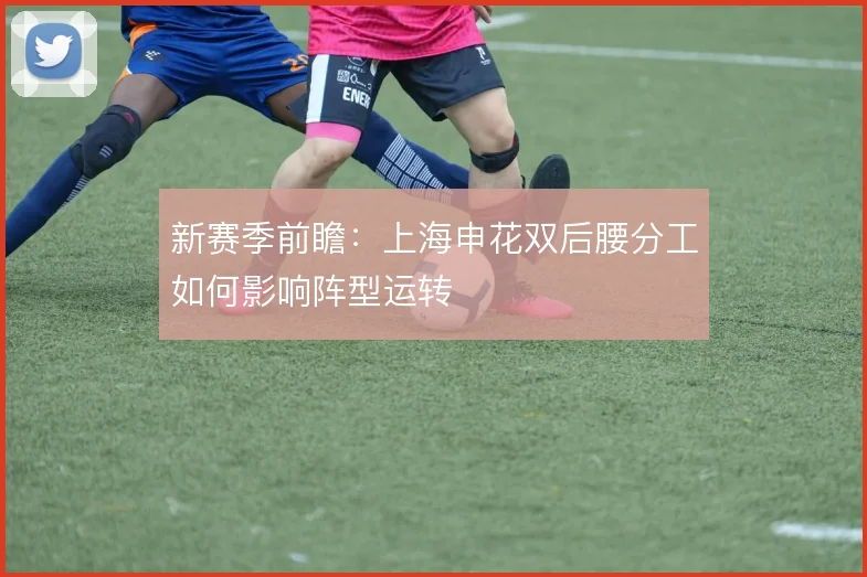 新赛季前瞻：上海申花双后腰分工如何影响阵型运转