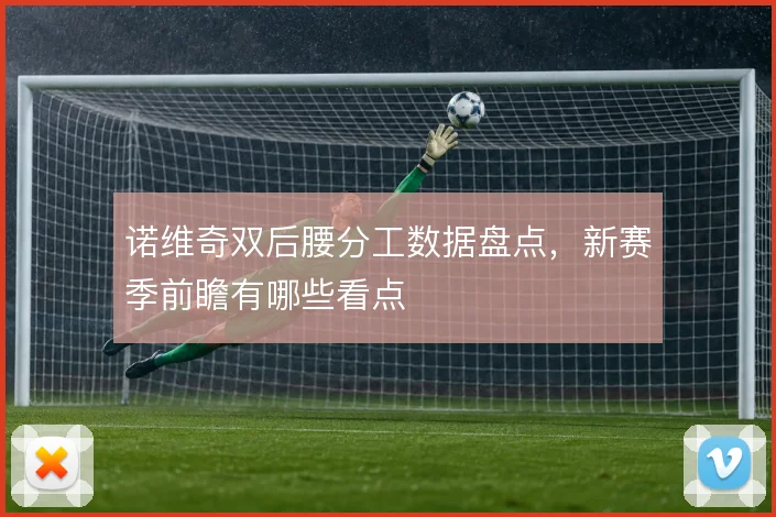 诺维奇双后腰分工数据盘点,新赛季前瞻有哪些看点